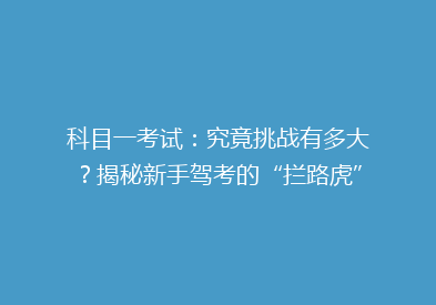 科目一考试：究竟挑战有多大？揭秘新手驾考的“拦路虎”