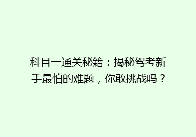 科目一通关秘籍：揭秘驾考新手最怕的难题，你敢挑战吗？