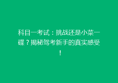 科目一考试：挑战还是小菜一碟？揭秘驾考新手的真实感受！